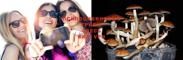 jwh Богородск