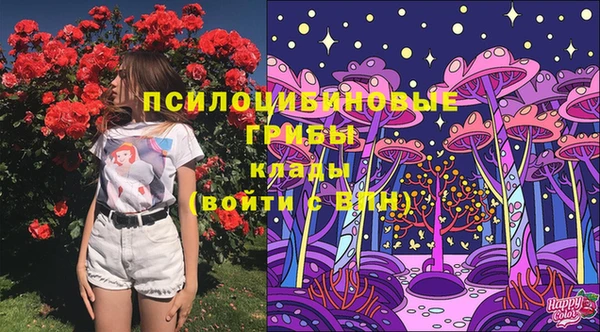 мет Богородицк