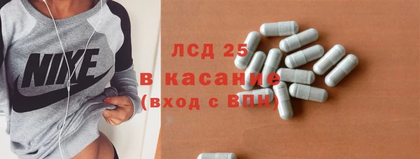 спайс Богданович
