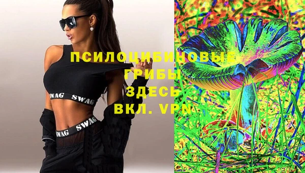 спайс Богданович