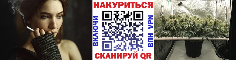 Конопля план  Барабинск 